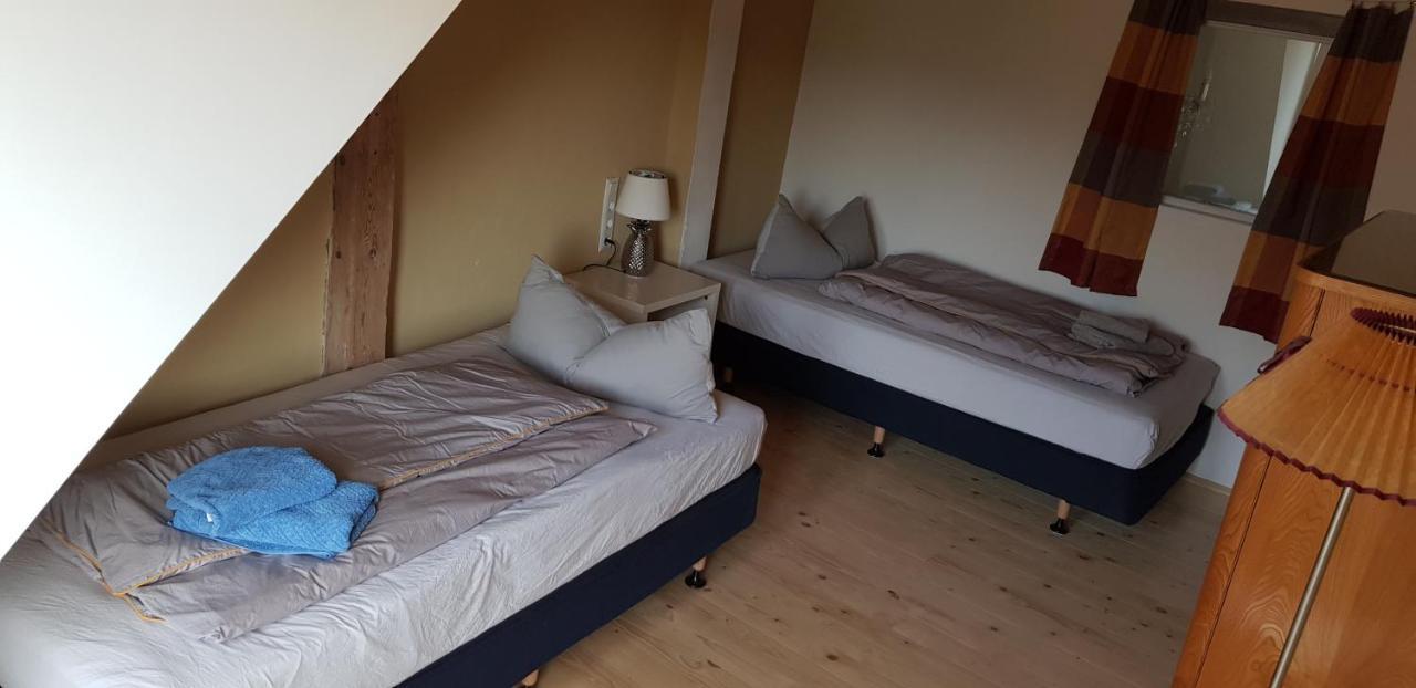 פירנה Ferienwohnung Salamander מראה חיצוני תמונה