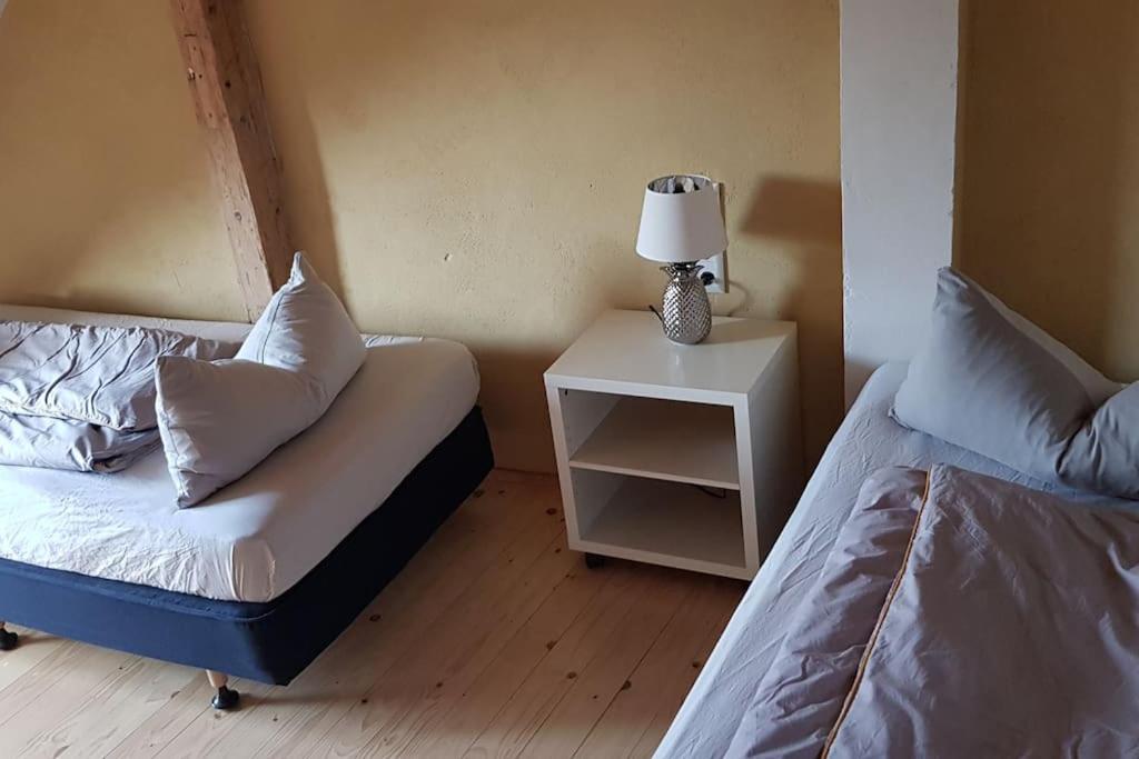 פירנה Ferienwohnung Salamander מראה חיצוני תמונה