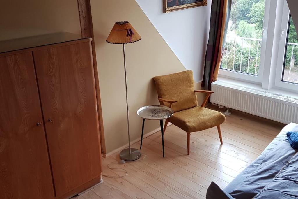 פירנה Ferienwohnung Salamander מראה חיצוני תמונה