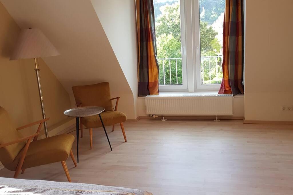 פירנה Ferienwohnung Salamander מראה חיצוני תמונה